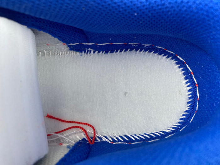 Nike Dunk Low "Year of the Rabbit" FD4203-161