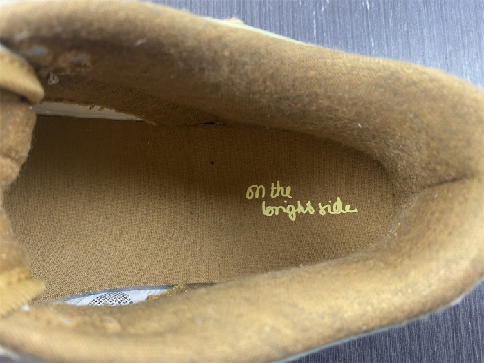 nike dunk low "on the bright side" dq5076-121