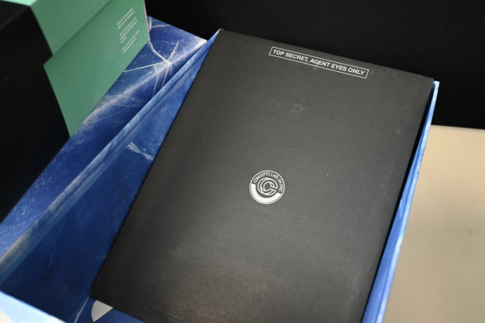 concepts x dunk low sb 