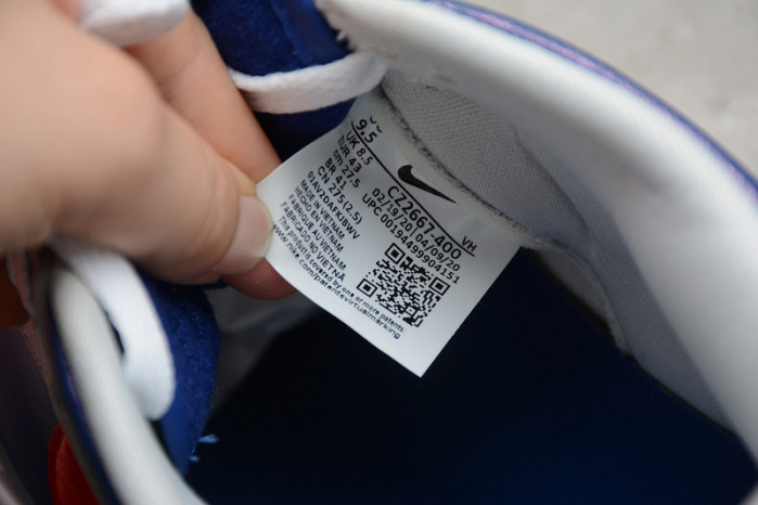 nike dunk low co.jp samba (2020) - cz2667-400